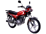 CXM125C五羊本田